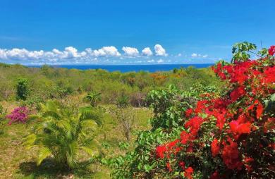 MARIE-GALANTE   Ensemble immobilier vue mer 180o : villa + 3 bungalows + terrain constructible