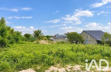 Vente Terrain 800m&sup2; Anse-Bertrand