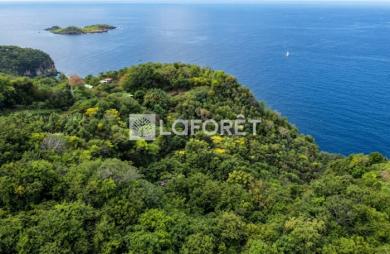 Vente Terrain 7000m² Bouillante