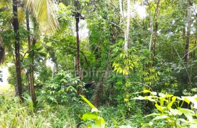 Vente Terrain 1000m&sup2; Morne à l