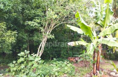Vente Terrain 1000m&sup2; Morne à l