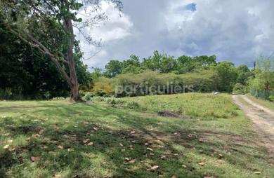 Vente Terrain 741m² Sainte Anne