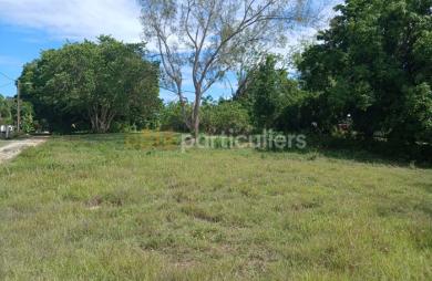 Vente Terrain 741m² Sainte Anne