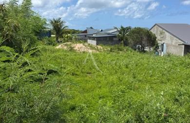 Vente Terrain 800m² Anse-Bertrand