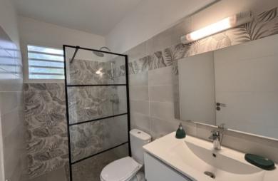 Maison individuelle à Anse-Bertrand - Longfort Immobilier