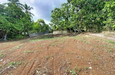 Vente Terrain 400m² 4 pièces Baie Mahault