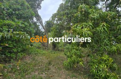 Vente Terrain 601m² Sainte Anne