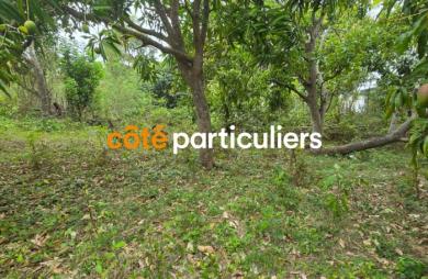 Vente Terrain 601m² Sainte Anne