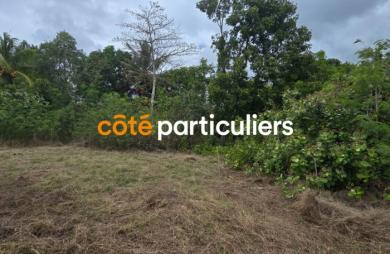 Vente Terrain 601m² Sainte Anne