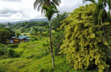 Vente Terrain 917m² Sainte Rose