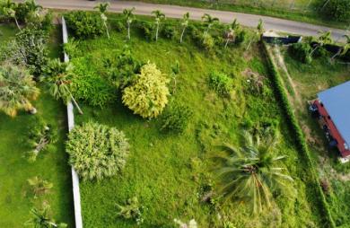 Vente Terrain 917m² Sainte Rose