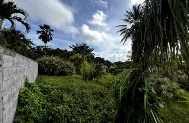 Vente Terrain 917m² Sainte Rose