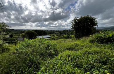 Vente Terrain 917m² Sainte Rose