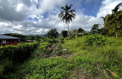 Vente Terrain 917m² Sainte Rose