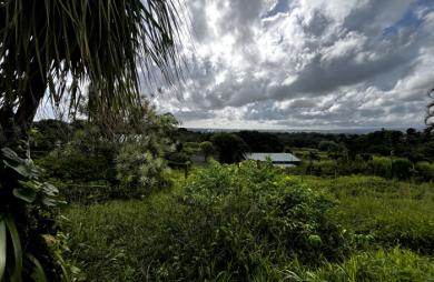 Vente Terrain 917m² Sainte Rose