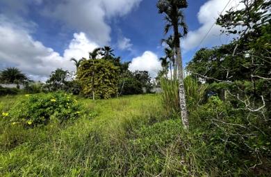 Vente Terrain 917m² Sainte Rose