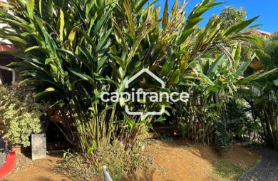 Location Appartement 45m&sup2; 2 pièces Petit-Bourg