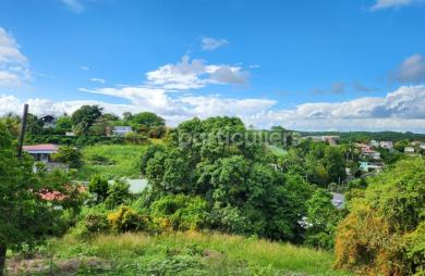 Vente Terrain 1094m² Gosier