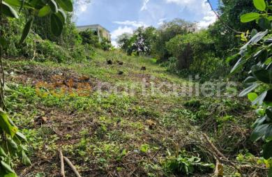 Vente Terrain 1094m² Gosier