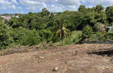 Terrain de 1024m2 en pente secteur Pliane