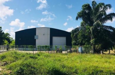 Vente Entrepot 1000m² Montsinery