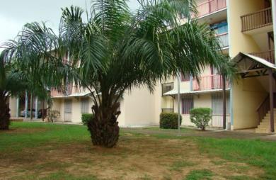 Vente Appartement 65m&sup2; 3 pièces Kourou