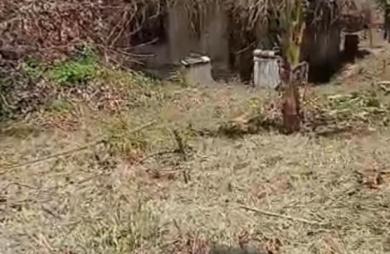 Vente Maison 75m&sup2; 4 pièces Remire Montjoli