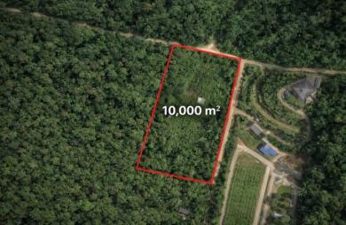 Vente Terrain 10000m&sup2; Roura