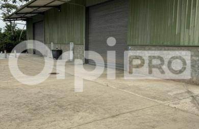 Hangar professionnel de 412 m² sur parcelle sécurisée, idéal pour activité ou stockage, avec deux accès portails et deux volets roulants.