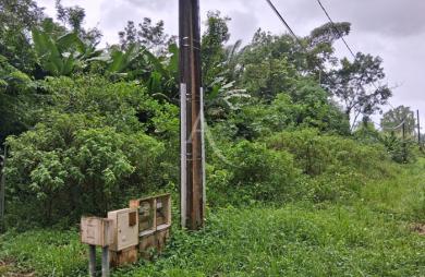 Vente Terrain 10000m² Montsinery