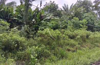 Vente Terrain 10000m² Montsinery