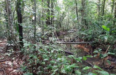 Vente Terrain 16600m² Roura