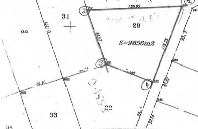 Vente Terrain 9856m² Montsinery