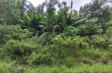 Vente Terrain 9856m² Montsinery