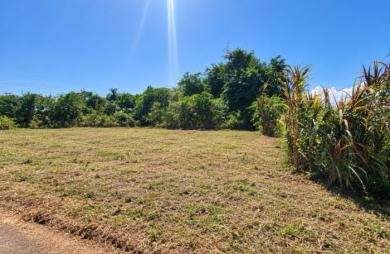 Vente Terrain 1001m&sup2; Macouria Tonate