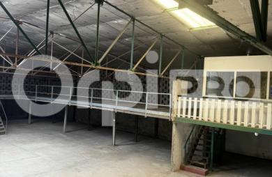 Grand local professionnel à Cayenne – Plus de 600m² en zone industrielle, facilement aménageable, accès camions, idéal pour activité, stockage.