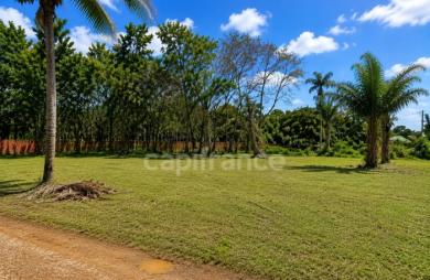 Vente Terrain 1008m&sup2; Macouria Tonate