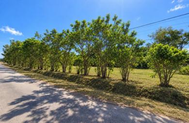 Vente Terrain 1008m&sup2; Macouria Tonate