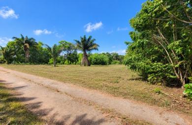 Vente Terrain 1010m&sup2; Macouria Tonate