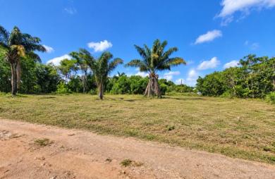 Vente Terrain 1010m&sup2; Macouria Tonate