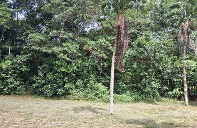 Vente Immeuble 245m² 7 pièces Matoury