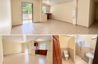 Location Appartement 53.98m&sup2; 3 pièces Saint Laurent