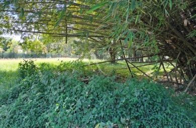 Vente Terrain 4019m² Matoury