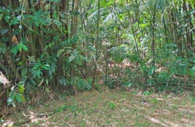 Vente Terrain 4019m² Matoury