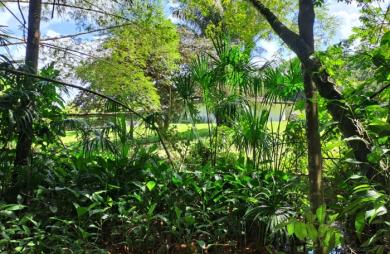 Vente Terrain 4019m² Matoury