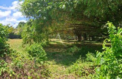 Vente Terrain 4019m² Matoury
