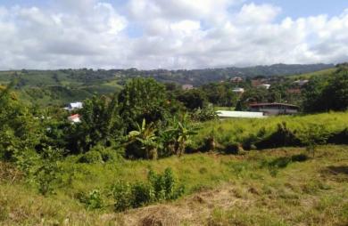 Vente Terrain 1250m&sup2; Le Marigot