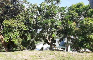 Vente Maison 451m&sup2; 10 pièces Case-Pilote