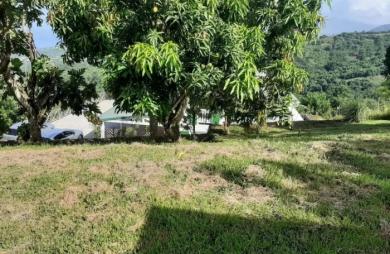 Vente Maison 451m&sup2; 10 pièces Case-Pilote