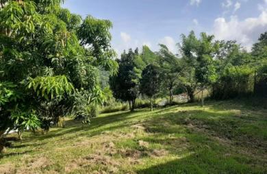Vente Maison 451m&sup2; 10 pièces Case-Pilote